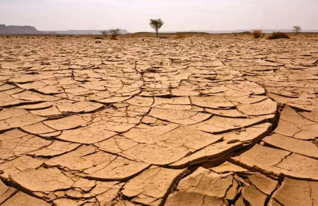 【世界防治荒漠化和干旱日】管家婆778849com一直在行动