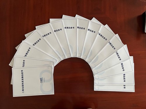 重磅！《二氧化碳熱泵發(fā)展白皮書》正式印發(fā)